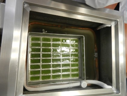 Congelando las paletas mexicanas de limón a una temperatura de -20°C, el congelamiento será en aproximadamente 30 minutos
